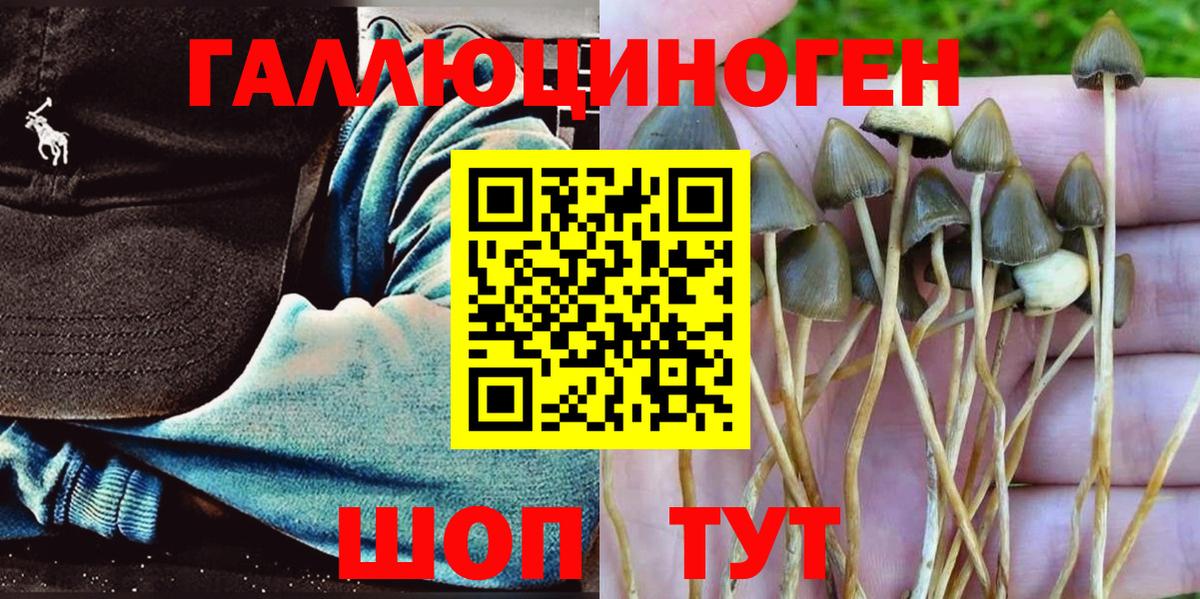 Псилоцибиновые грибы Magic Shrooms  Вход с VPN  Дедовск 